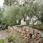 Apartman Tigrich *