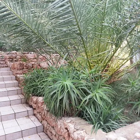 Tigrich Sveta Nedelja (Hvar)