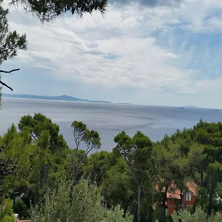 Tigrich Sveta Nedelja (Hvar)