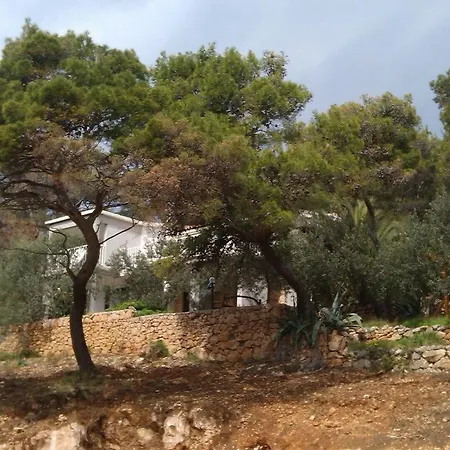 Apartmán Tigrich Sveta Nedelja (Hvar)