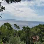 Tigrich Sveta Nedelja (Hvar)