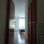 Tigrich Sveta Nedelja (Hvar)