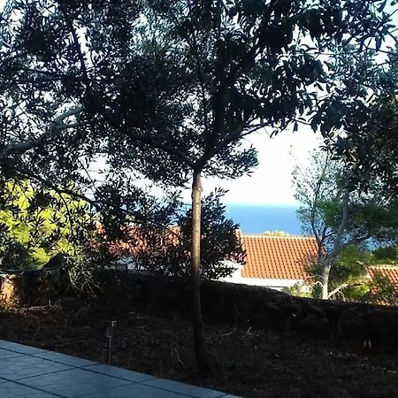 Tigrich Sveta Nedelja (Hvar)