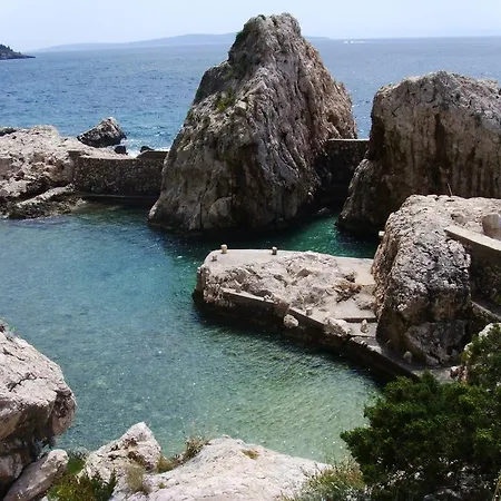Tigrich *